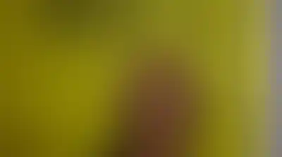العفو الدولية: على فرنسا وإيطاليا وبريطانيا وألمانيا اتخاذ إجراءات لوقف انتهاكات "إسرائيل" للقانون الدولي