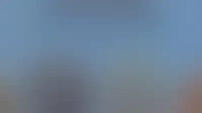 مؤسسة تنمية الحبوب تصدر "الدليل الوطني الأول لأصناف وطرز محاصيل الحبوب والبقوليات المحلية"