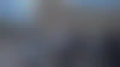 أكثر من 1291 مستوطنًا يقتحمون المسجد الأقصى خلال أسبوع