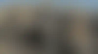 "أوقاف غزة": العدو الصهيوني استهدف 1244 مسجدًا من أصل 1275 منذ بدء الإبادة