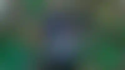 أنصار الله.. المستبصرون الثابتون في زمن المصالح