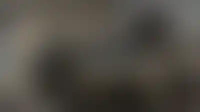 العدو الإسرائيلي يشرع بتجريف وهدم منشآت زراعية بنابلس ويقتحم مخيم قلنديا وبلدة كفر عقب، شمال القدس