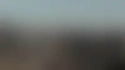 هجمات واعتداءات للمستوطنين في عدة مناطق برام الله وجنين