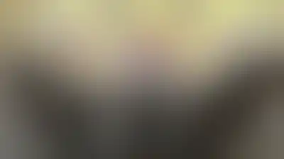 رؤساء السلطات الثلاث في إيران يؤكدون ضرورة مواصلة التنسيق وتعزيز التآزر فيما بينها