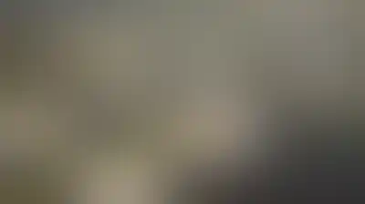 مخزونات النفط الأمريكية تهبط إلى أدنى مستوى في عقود وتقلص هامش أمان الطاقة