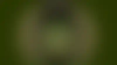 بحرية الجيش الإيراني: اشتعال النيران في ناقلة نفط مخالفة ببحر عُمان