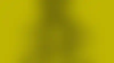 منظمة العفو الدولية تدعو أمريكا للعدول عن رفض تأشيرات الوفد الفلسطيني