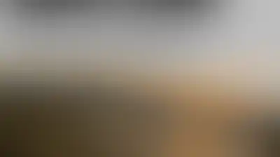 مقاومة الجدار الفلسطينية: البناء الاستيطاني يسبق استكمال التخطيط لتثبيت الوقائع على الأرض