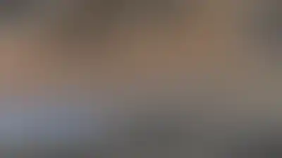 العدو الإسرائيلي يهجّر 1500 فلسطيني في الخليل ويواصل اقتحام أحيائها