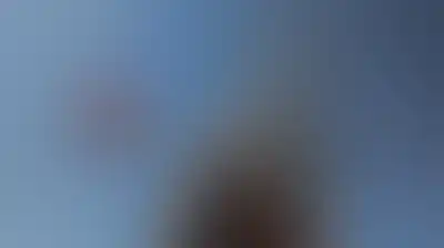 صنعاء تحذر السعودية من أضرار استراتيجية نتيجة العدوان وتنصح شركات الطيران بالتنسيق