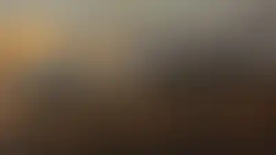 الجيش الإيراني يسقط طائرة MQ-1 في سماء بندر عباس