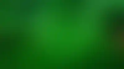 كَـ"يَاقُوتَةٍ خَضْرَاءَ" مُضِيئَةٍ فِي ذِكْرَى مَوْلِدِ النُّورِ
