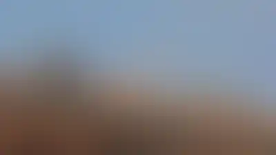 مستوطنون يواصلون اعتداءاتهم على الفلسطينيين وممتلكاتهم في الضفة الغربية