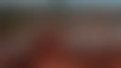 البرازيل تلوّح بإجراءات مماثلة رداً على تعليق الاتحاد الأوروبي واردات لحومها