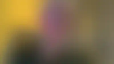 قاآني: فلسطين قضية حية وثابتة وستبقى راسخة حتى انتصار الحق