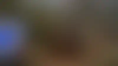 العدو الصهيوني ومستوطنوه يواصلون اعتداءاتهم على الفلسطينيين وممتلكاتهم في الضفة