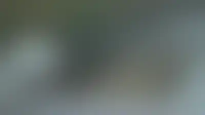 كوريا الشمالية: إطلاق صواريخ ضمن تدريبات بالذخيرة الحية