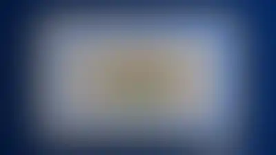 شرطة المرور تدعو للالتزام بالتعليمات خلال فعاليات المولد النبوي 