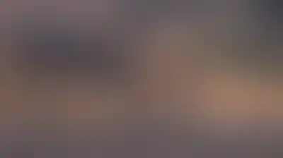 نائب أمريكي يدعو إلى التحرك ضد مستوطنين يحاصرون منازل فلسطينيين في الضفة