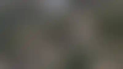 العدو الإسرائيلي ومستوطنوه يواصلون اعتداءاتهم ضد الفلسطينيين وممتلكاتهم في الضفة