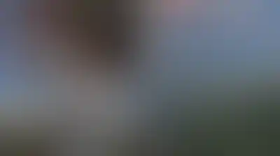 اندلاع حريق في أراضٍ ببيت عنان جراء قنابل غاز اطلقها العدو الإسرائيلي وهدم منازل في مدينة رهط