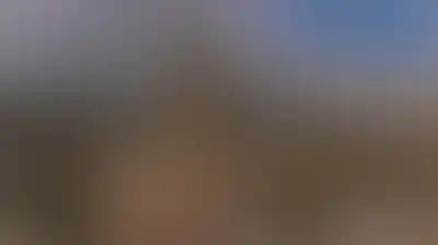مستوطنون يقتحمون الأقصى والعدو الصهيوني يواصل منع الآذان في الإبراهيمي