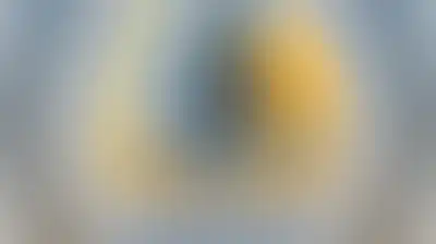 هيئة علماء فلسطين: تحميل المقاومة مسؤولية القتل والدمار الصهيوني قلبٌ للحقائق وتبرئة للمعتدي