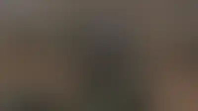 رام الله: مستوطنون يجرفون أراضي زراعية ويقتلعون أشجار زيتون في بلدة نعلين وآخرون يرعون أغنامهم في برقا الزراعية