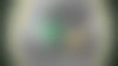 "ألوية الناصر صلاح الدين": دماء القائد الشهيد «رأفت أبو هلال» وكل الشهداء لن تذهب سدى