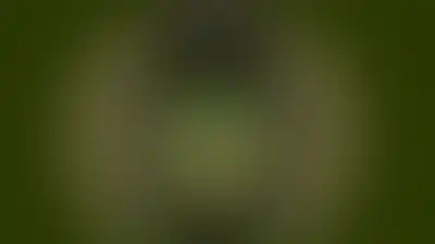 الجيش الإيراني: اندلاع حريق في ناقلة نفط مخالفة شرق مضيق هرمز