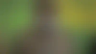 نقدي: أمريكا ستتكبد خسائر بشرية فادحة وسيُؤسر جنودها إذا شنت عدواناً برياً على إيران