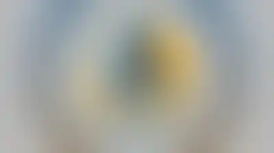 العدو الإسرائيلي يلقي مواد كريهة الرائحة على مدينة غزة