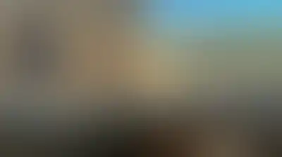 جرائمُ ساديةِ النظامِ السعوديِّ وسلاحِ "العمِ سامِ" فِي ذُوباب