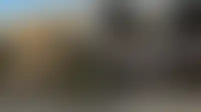 مستوطنون يقتحمون باحات الأقصى ويؤدون طقوسا تلمودية