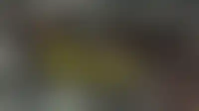 العفو الدولية تحتج في مباراة النمسا و"إسرائيل"