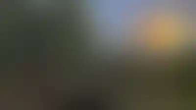 الدفاع الروسية: استهداف البنية التحتية لموانئ أوكرانيا