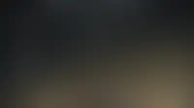 شهيد و86 جريحاً جرّاء 1401 انتهاك للعدو الإسرائيلي ومستوطنيه في الضفة الأسبوع الماضي