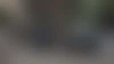  العدو الصهيوني يصدم مركبة في طولكرم ويقتحم بلدات في الضفة الغربية