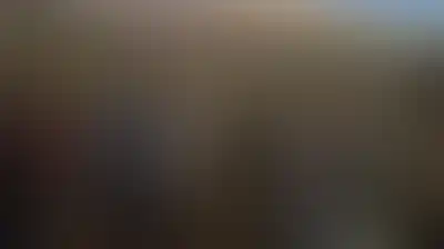 مستوطنون يطلقون الرصاص صوب قاطفي الزيتون شرق الخليل