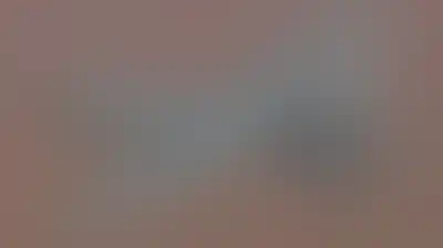 "الثوري الإيراني": تدمير مسيرة أمريكية MQ9 جنوبي البلاد