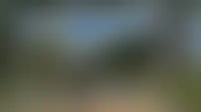 موسكو تدعو لوقف إطلاق النار في شمال إثيوبيا وتحذر من التدخل الخارجي