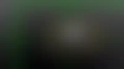 "الثوري الإيراني": تدمير طائرة مسيّرة من طراز MQ9 شرق مضيق هرمز