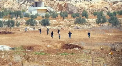 اعتداءات المستوطنين في الضفة تتصاعد وتطال المنازل ومركبات الفلسطينيين والأجانب وثمار الزيتون