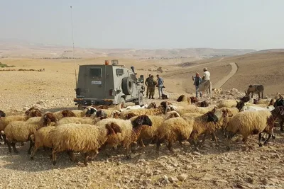 مركز "سجل": العدو الإسرائيلي يحتجز راعي أغنام في القنيطرة جنوب سوريا