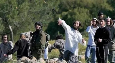 مستوطنون يواصلون اعتداءاتهم على الفلسطينيين وممتلكاتهم في الضفة والقدس