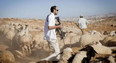 مستوطنون يهاجمون فلسطينيين ومنازلهم ويسرقون ماشية في الضفة الغربية