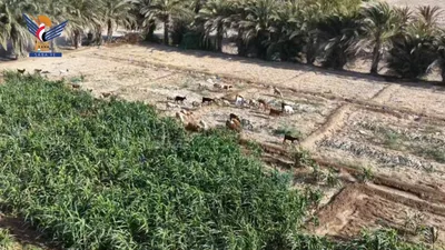 نزول ميداني لتقييم وضع القطاع الزراعي والحيواني والموارد المائية في المديريات المحررة بمحافظة تعز
