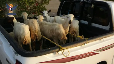 تسيير قافلة من مديرية اللحية بالحديدة دعماً للمرابطين في الساحل الغربي بمدينة المخا