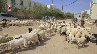 صعدة تسير قافلة "النصر الثالثة" للمرابطين في جبهات العزة والكرامة