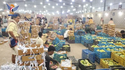 تهامة تحصد ثمار نهضتها الزراعية.. الصادرات تتجاوز 40 مليار ريال خلال ستة أعوام